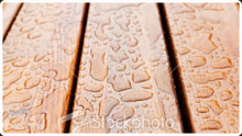 decking made from solid wood timber